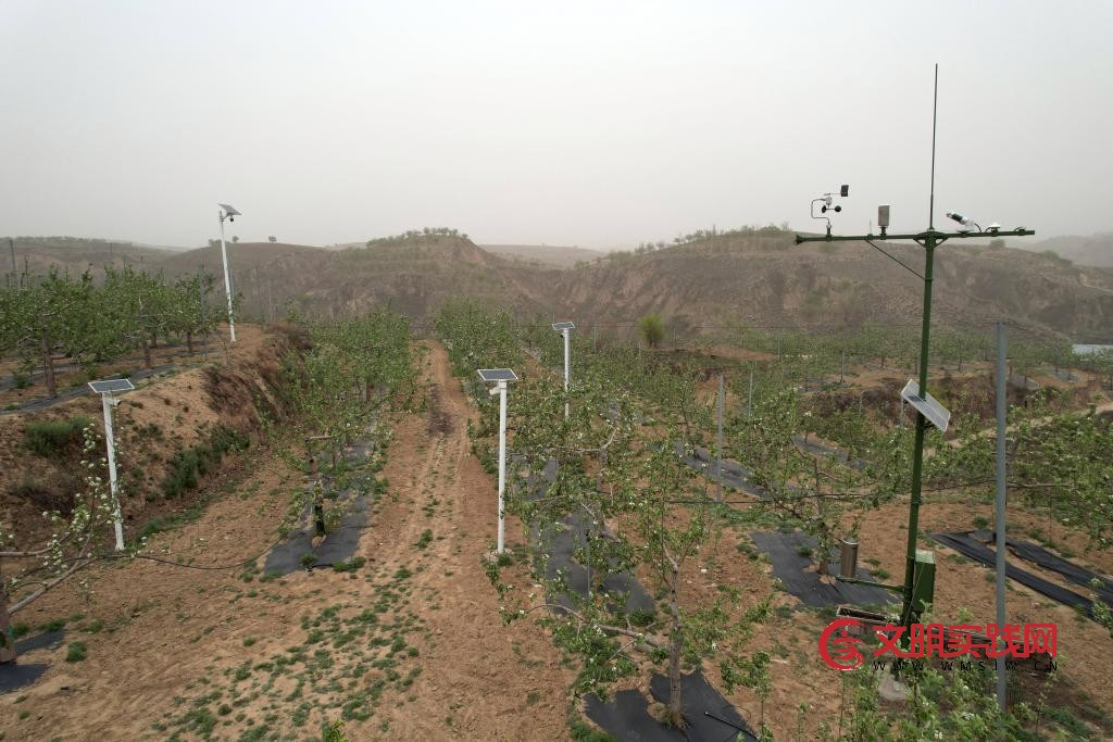 北扩西移,探访我国最大苹果种植区 北扩西移,探访我国最大苹果种植区