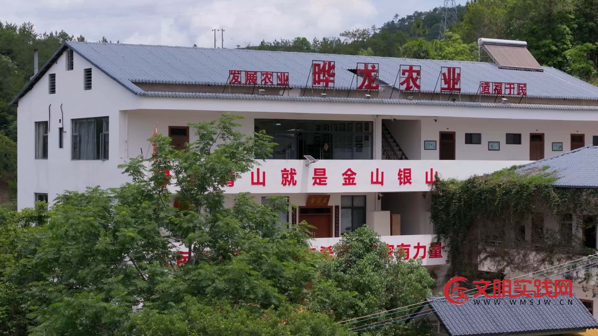 从深圳商人到“山茶油愚公”:一个男人的17年救赎与一棵树的百年承诺 20260526135040_1867_62.jpg