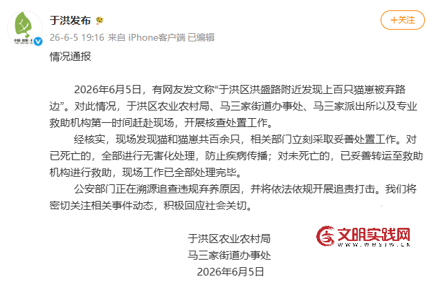 官方通报“上百只猫崽被弃路边”：将开展追责打击