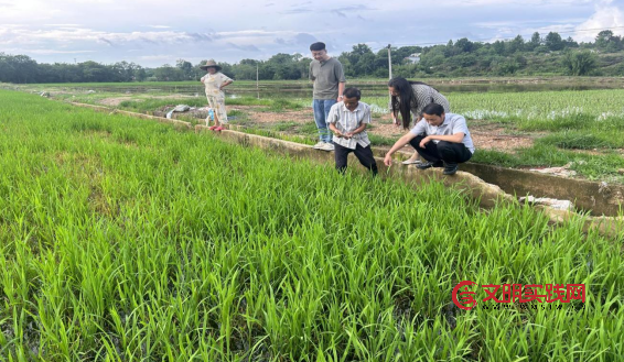 人人讲安全、个个会应急——赣州职业技术学院以高素质农民跟踪服务抓实安全生产月宣传 image.png