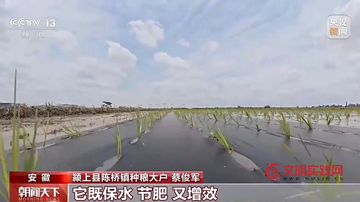 科技赋能 全国夏播粮食进度近七成 科技赋能 全国夏播粮食进度近七成