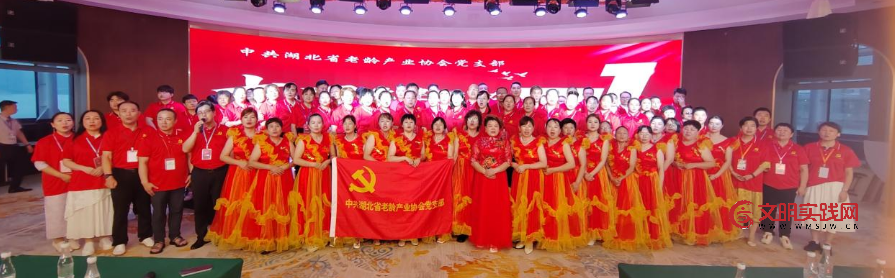逐浪颂党恩 放歌新时代 --湖北省老龄产业协会党支部开展庆“七一”主题党日活动 image.png
