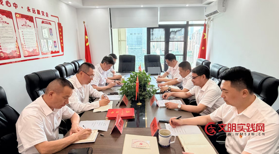 赓续红色血脉 凝聚奋进力量 ——湖北虹投电力建设有限公司党支部庆“七一”主题党日活动侧记 image.png