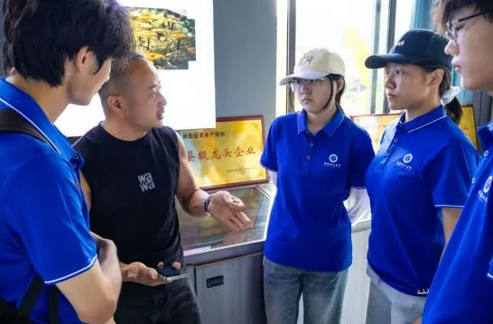 青峦执笔绘锦绣,绿韵流芳华川行——安徽理工大学 “星火赴乡” 实践团赴旌德华川开展 “三下乡” 暑期 image.png