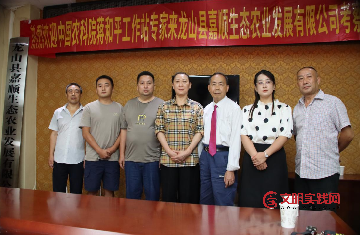 高山生态兴业 联农共富兴乡 --记湖南省龙山县嘉顺生态农业发展有限公司 image.png