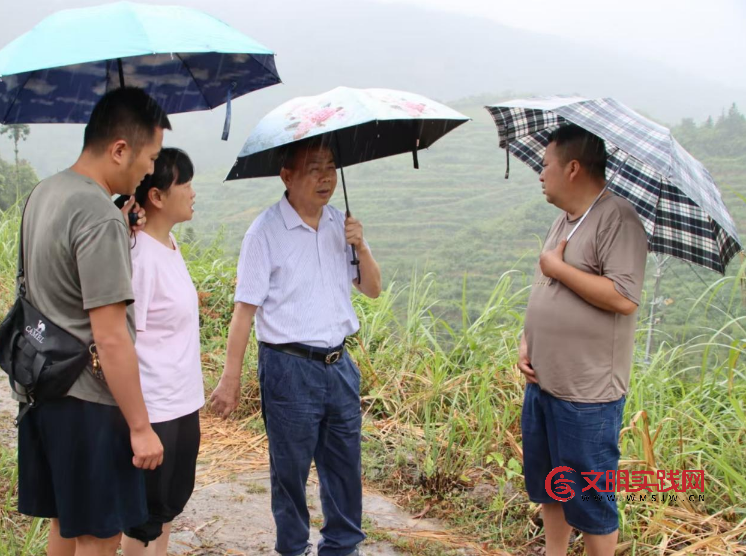 高山生态兴业 联农共富兴乡 --记湖南省龙山县嘉顺生态农业发展有限公司 image.png