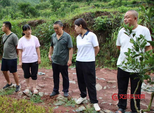 高山生态兴业 联农共富兴乡 --记湖南省龙山县嘉顺生态农业发展有限公司 image.png