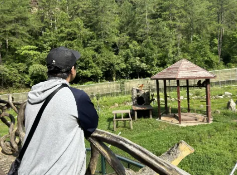 延安大学“守护长青山水,深耕秦岭乡土”实践队赴洋县秦岭四宝园调研珍稀野生动物保护工作 image.png