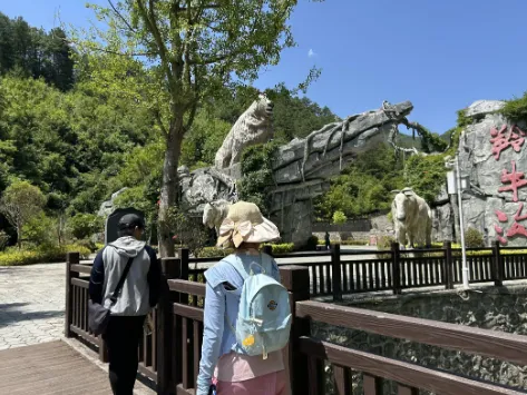 延安大学“守护长青山水,深耕秦岭乡土”实践队赴洋县秦岭四宝园调研珍稀野生动物保护工作 image.png